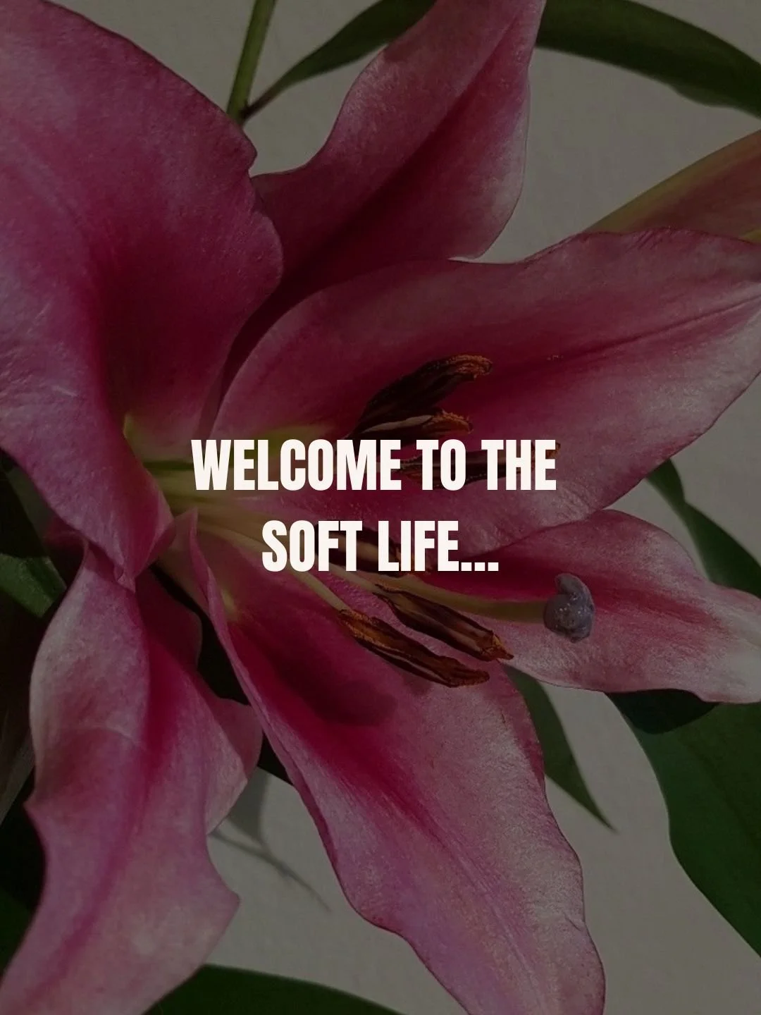 Small Steps Create Big Shifts 