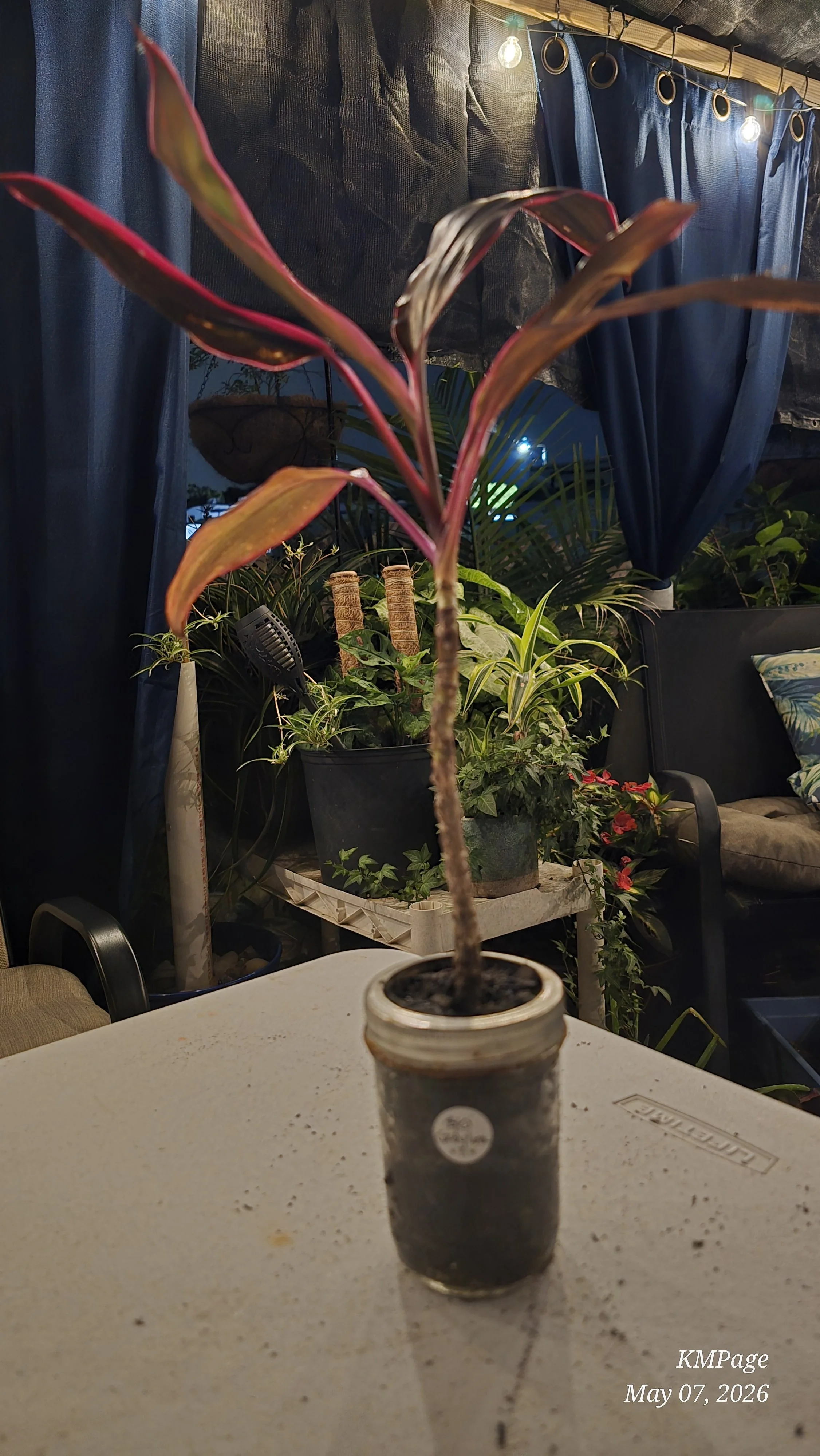 processed_da8b37ff45ec4868ae80a31aa7f0cb44.jpeg