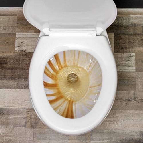Toilet bowl with brownish iron stains and water inside, next to a wooden floor and toilet seat.