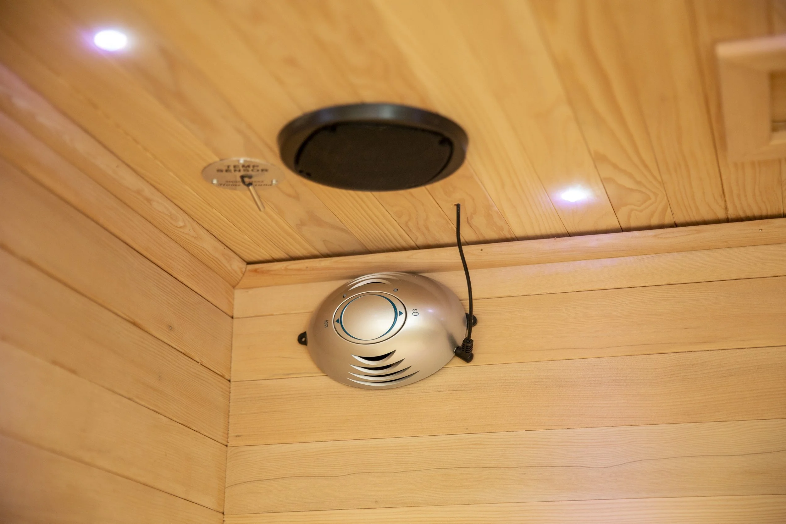 Oxygen ionizers and sound system speaker