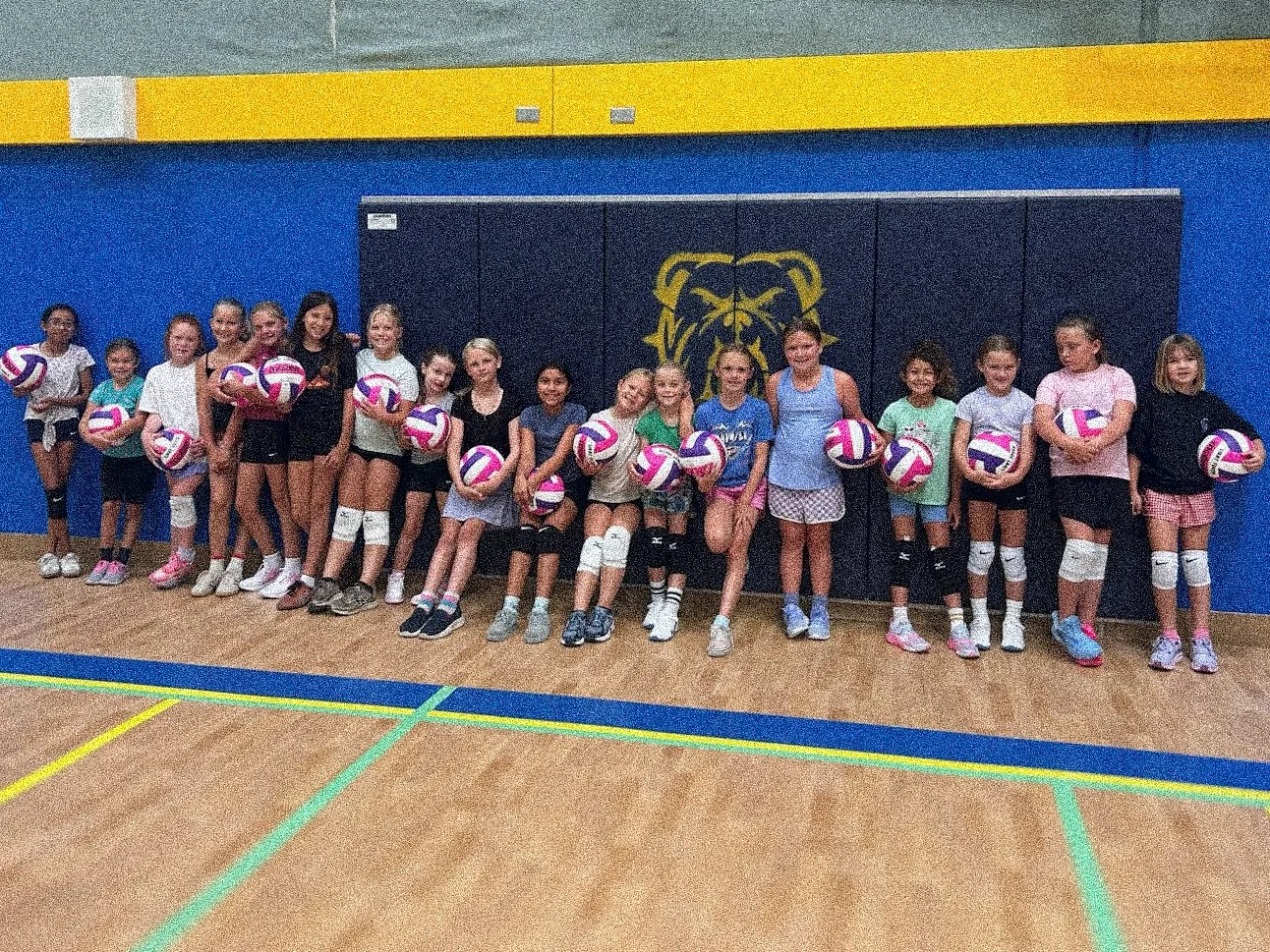 Group of young girls in a gymnasium holding volleyballs, standing in a line in front of a tiger mascot painted on a blue wall.