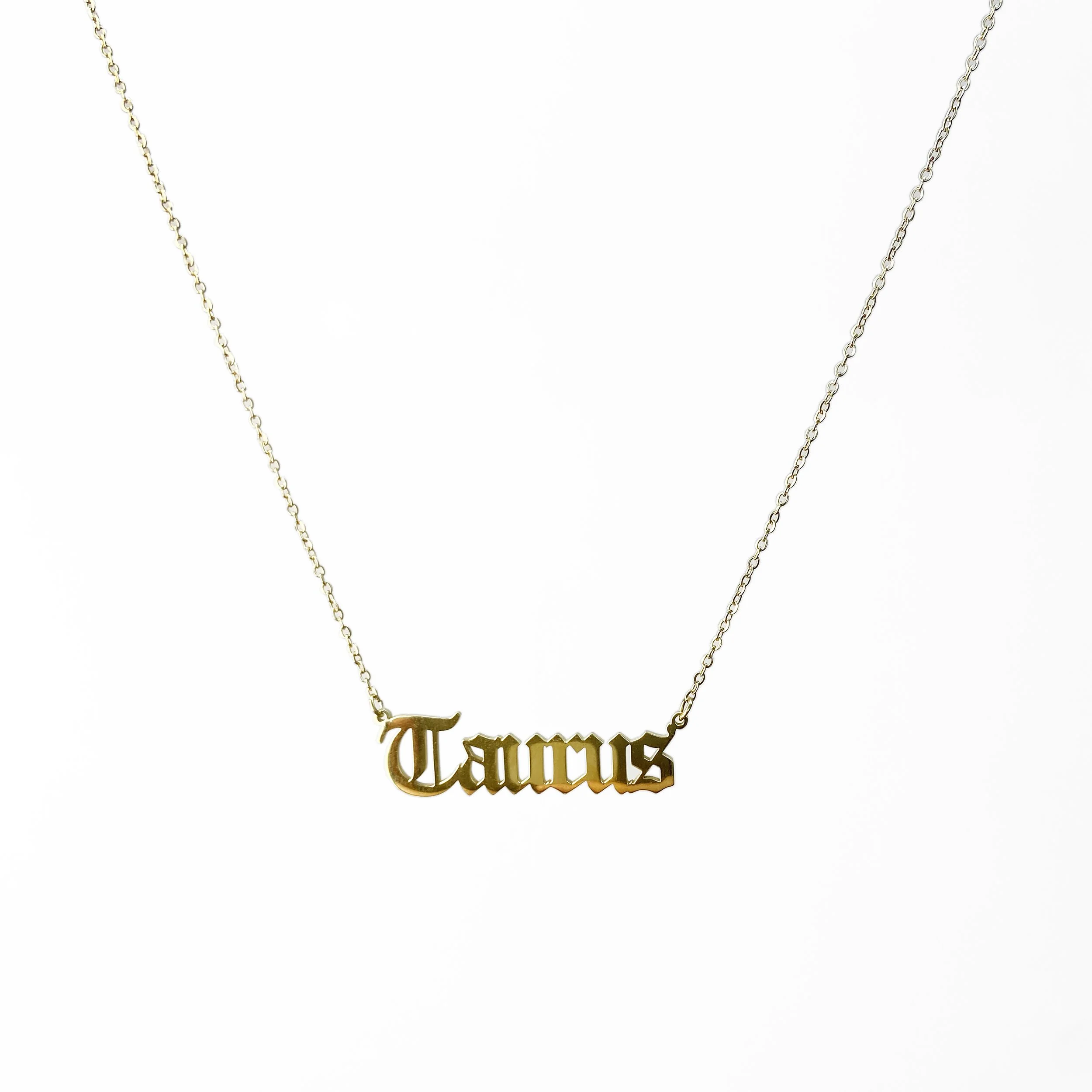Taurus Pendant and Cable Chain