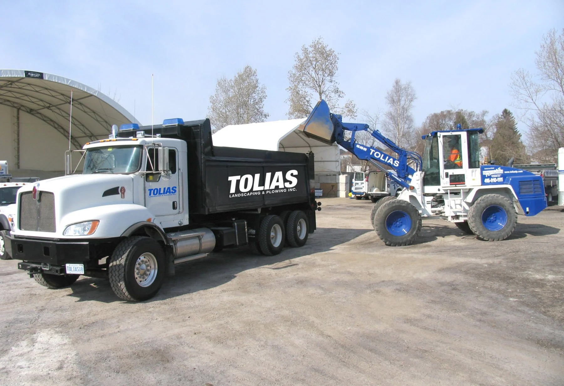 A large white dump truck with 'TOLIAS LANDSCAPING & PLANTING INC.' written on the side, being loaded with dirt by a blue wheel loader labeled 'TOLIAS', in an outdoor lot with other trucks and trees in the background.