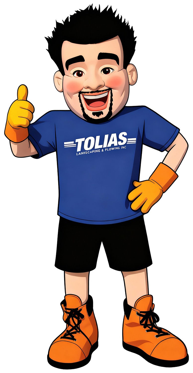 A cartoon character with black spiked hair, thick eyebrows, and facial hair, smiling broadly, giving a thumbs-up, wearing an orange work glove on one hand, a blue T-shirt with 'TOLIAS Landscaping & Plowing Inc.' written on it, black shorts, and orange work boots.
