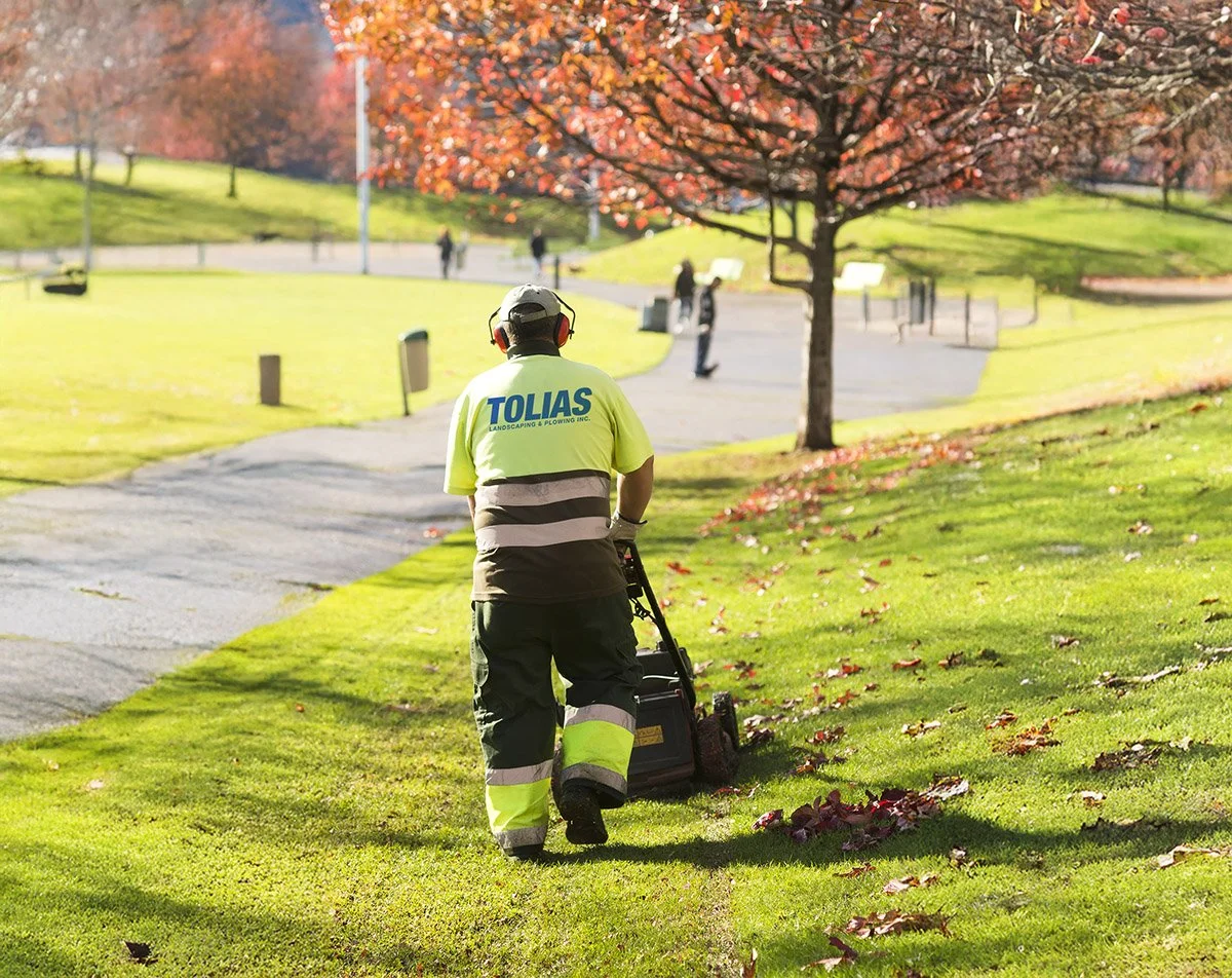 A landscape worker is mowing the grass in a park with green lawns, trees, walkways, and a few people in the background during autumn.