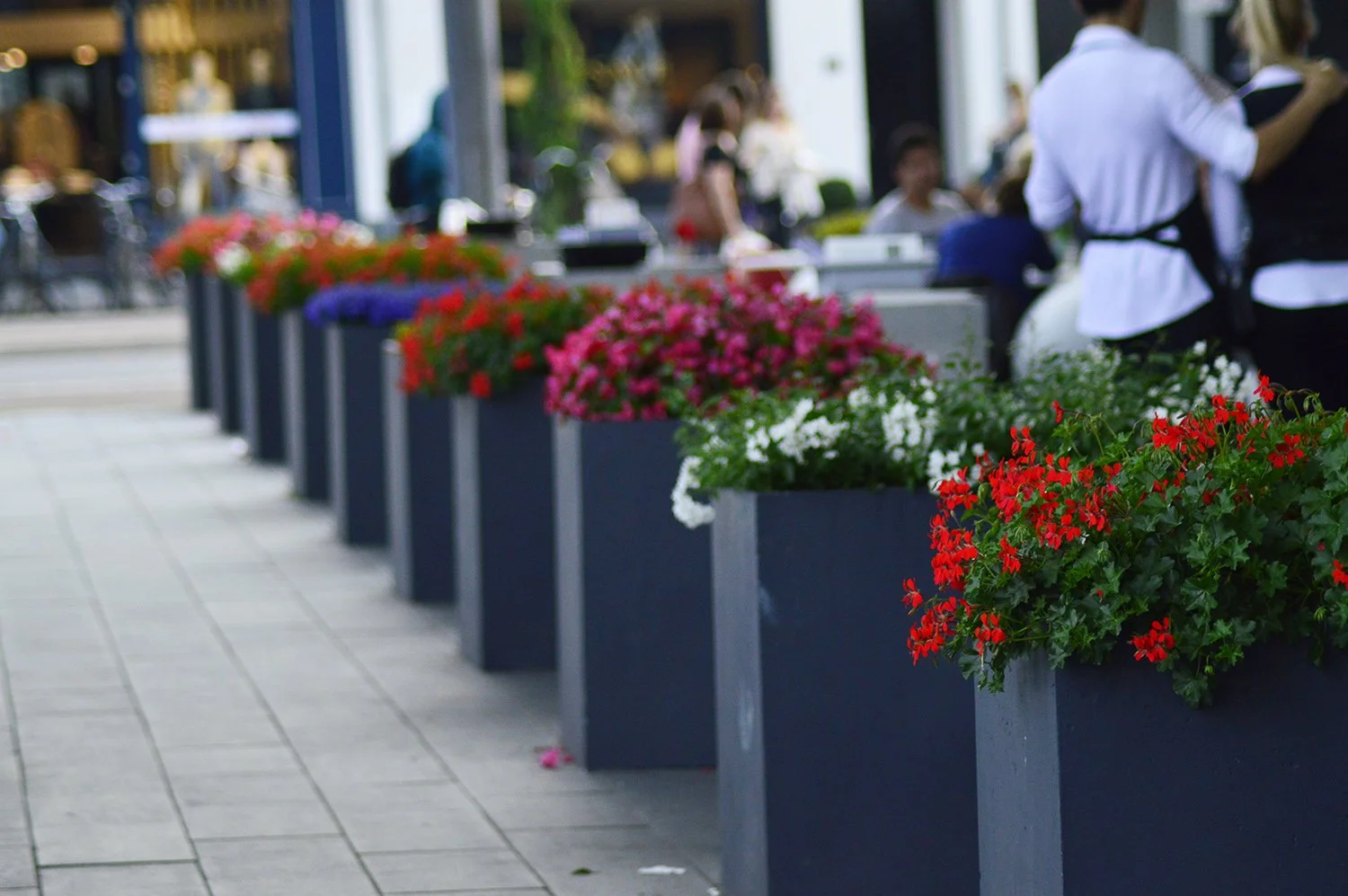 Flower planters with colorful flowers along a sidewalk outside a busy restaurant or cafe with people dining and waitstaff serving.