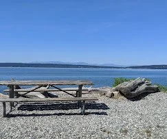 state park with bench.jpg