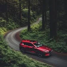 Car in forest.jpeg