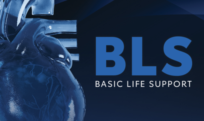 American Heart Association (AHA) CPR - Basic Life Support (BLS) For Healthcare Providers