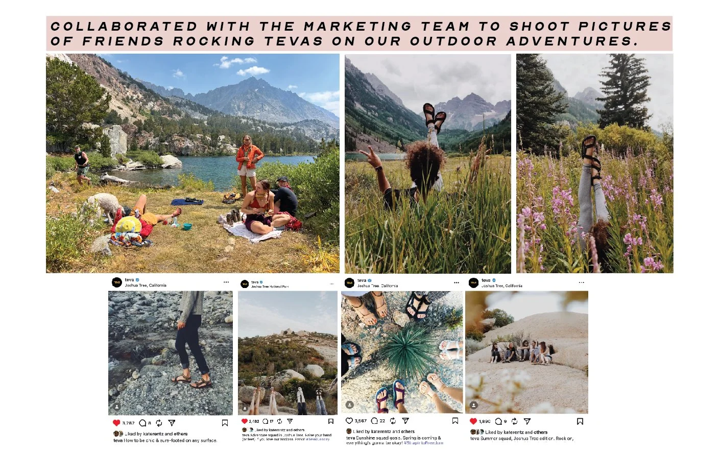 tevaALLNew_v copy 18.jpg