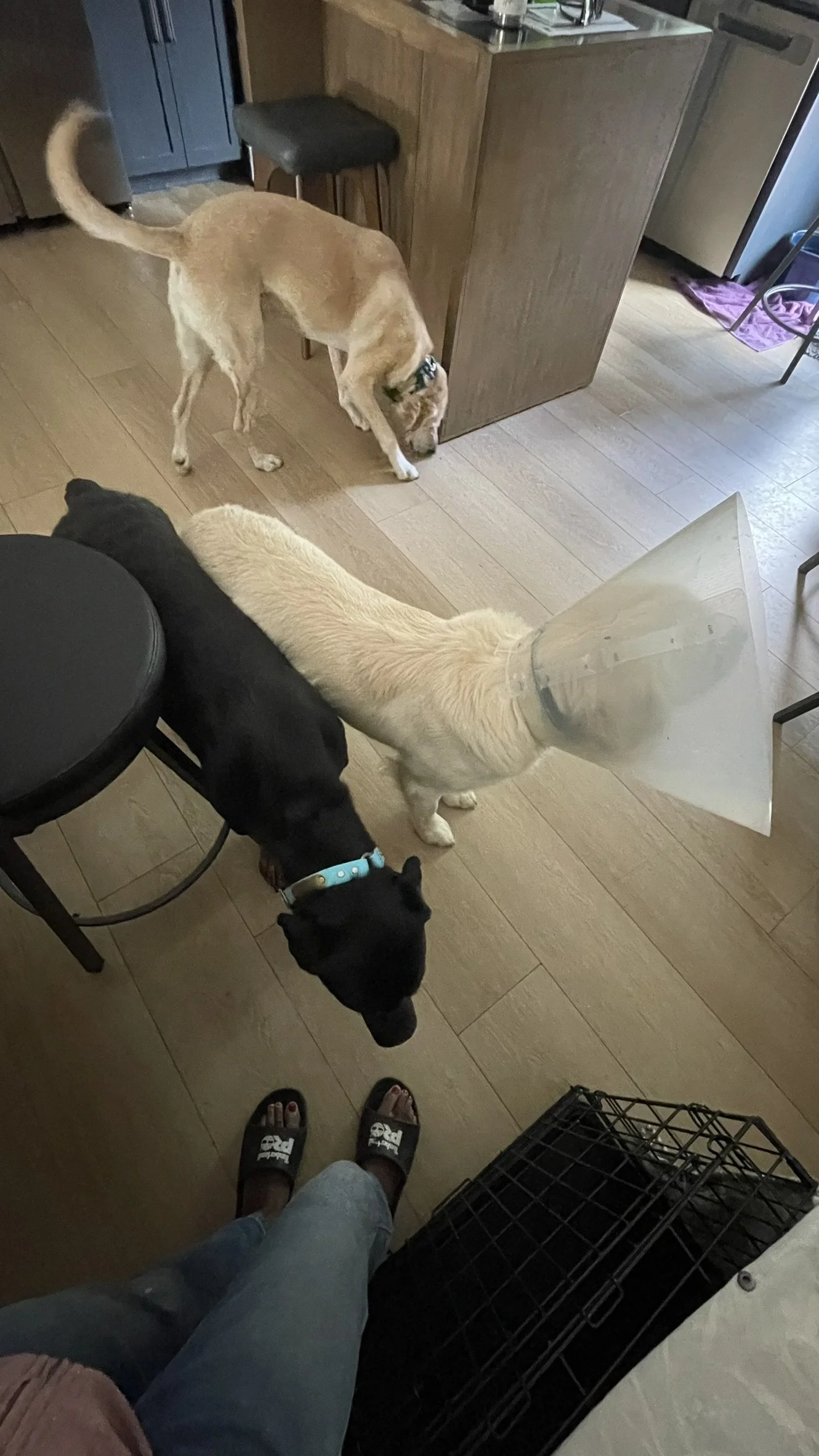 IMG_9049.JPEG