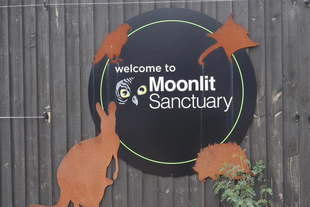 Sign saying 'welcome to Moonlit Sanctuary' on a dark wooden fence, decorated with orange animal cutouts including a kangaroo, a possum, and a hedgehog.