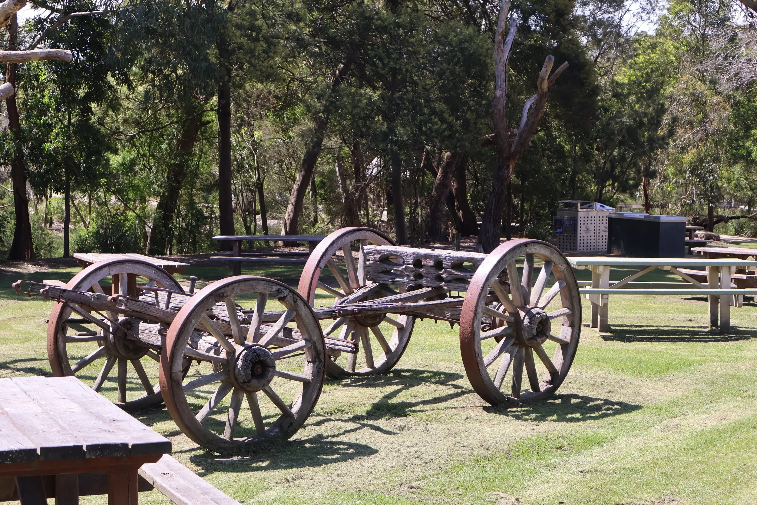 Old wooden wagon with large wheels in a park, surrounded by trees and picnic tables.