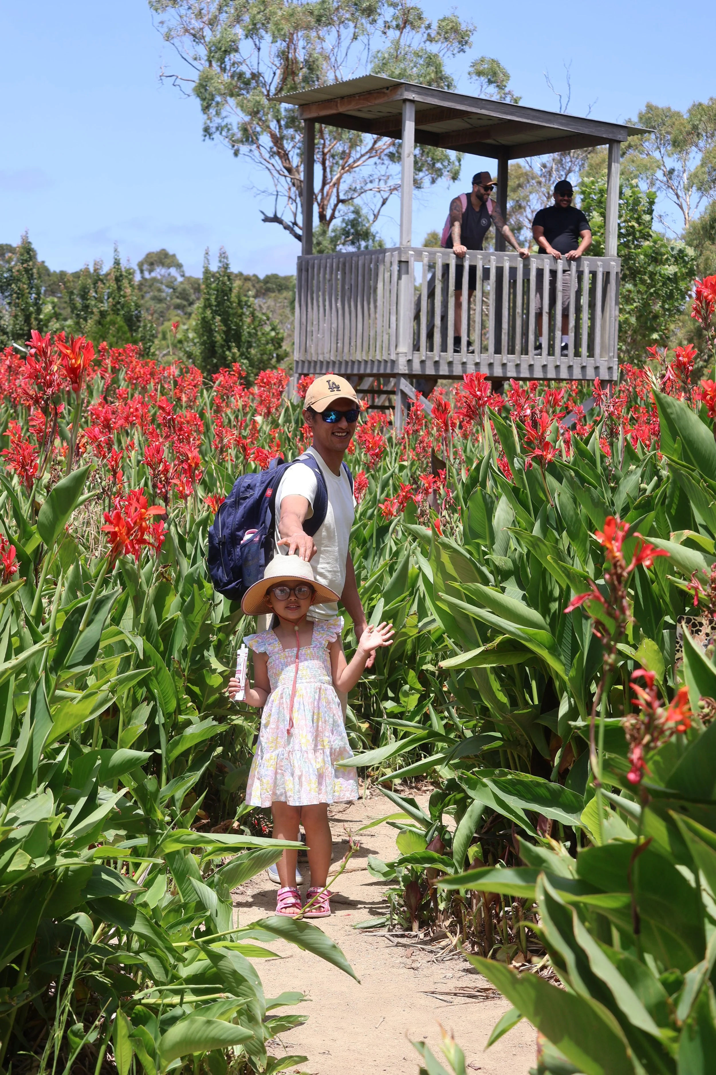 The big goose has lots of entertainment other than animals, with parks and a maze and water play it is a great day out for kids.