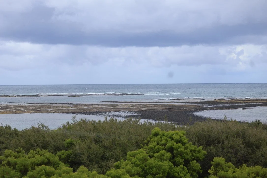 View of Mushroom Reef Marine Sanctuary from the car park.