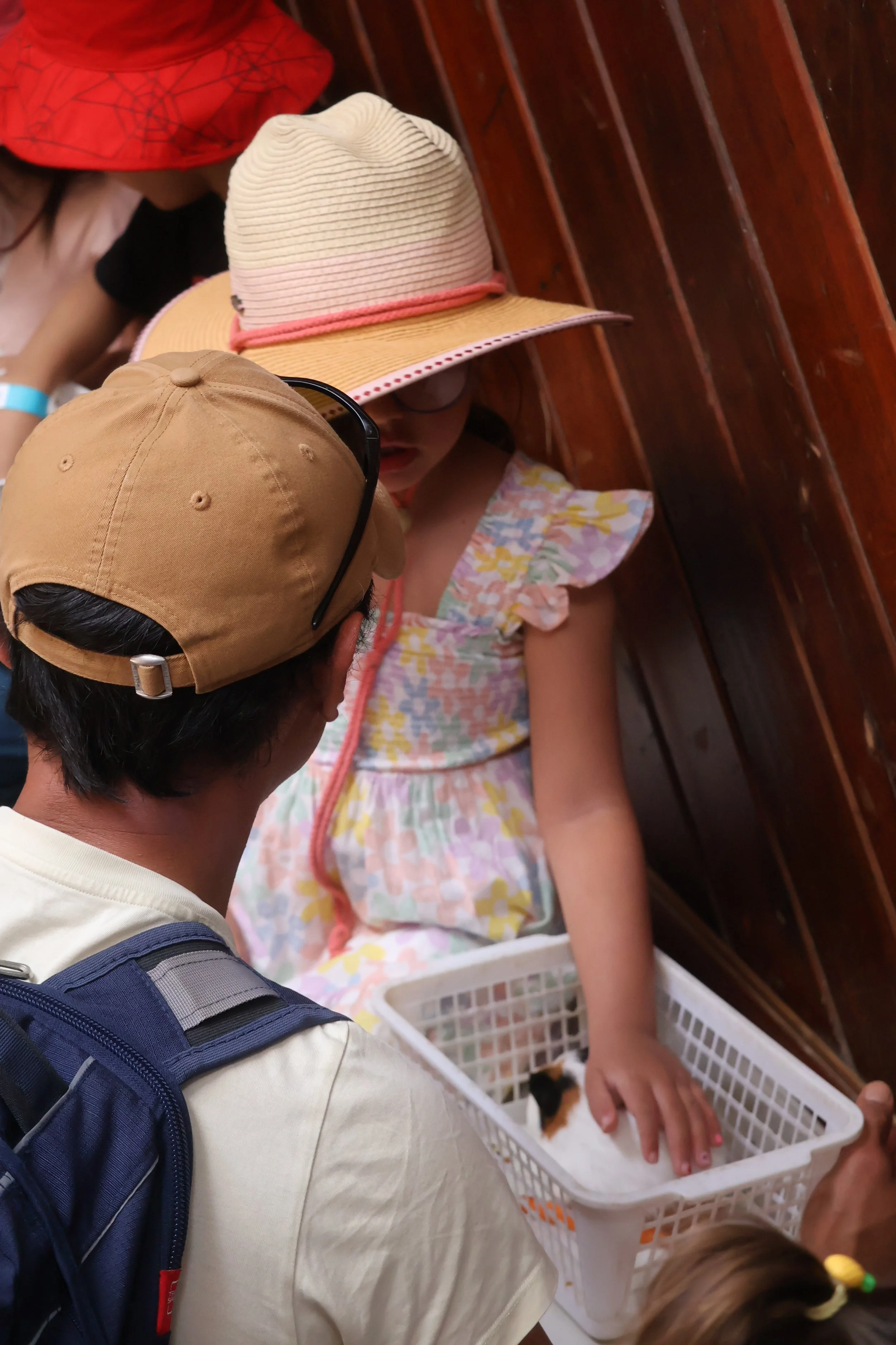 Petting a guinea Pig at The Big Goose