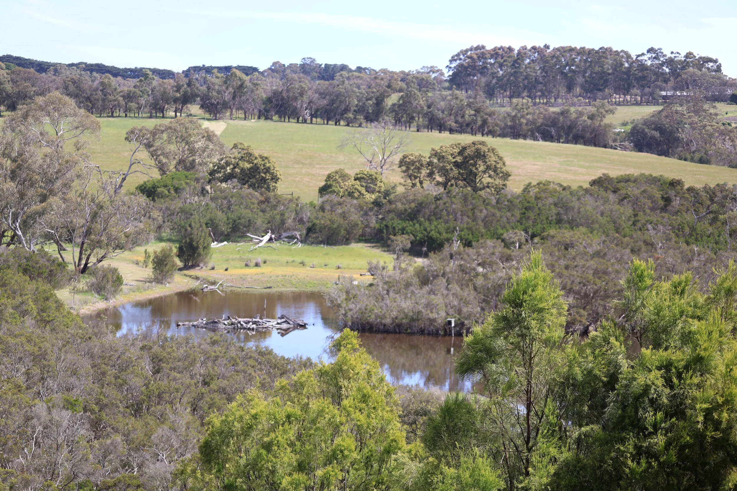 A scenic view of the Briars Wildlife Sanctuary wetlands with lots of birdlife and animal life for families to see.