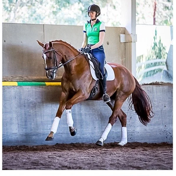 A rider in a green and navy riding outfit and helmet riding a brown horse with white leg wraps inside an indoor riding arena.
