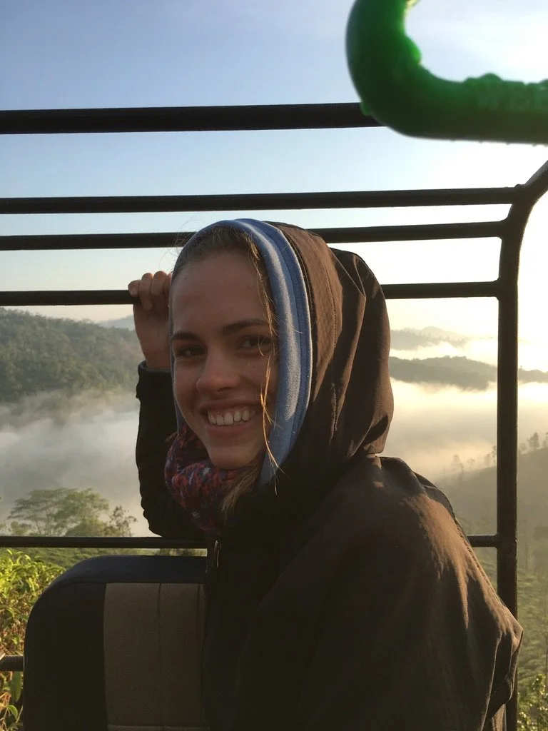 Traveling through India and observing wildlife along the way.