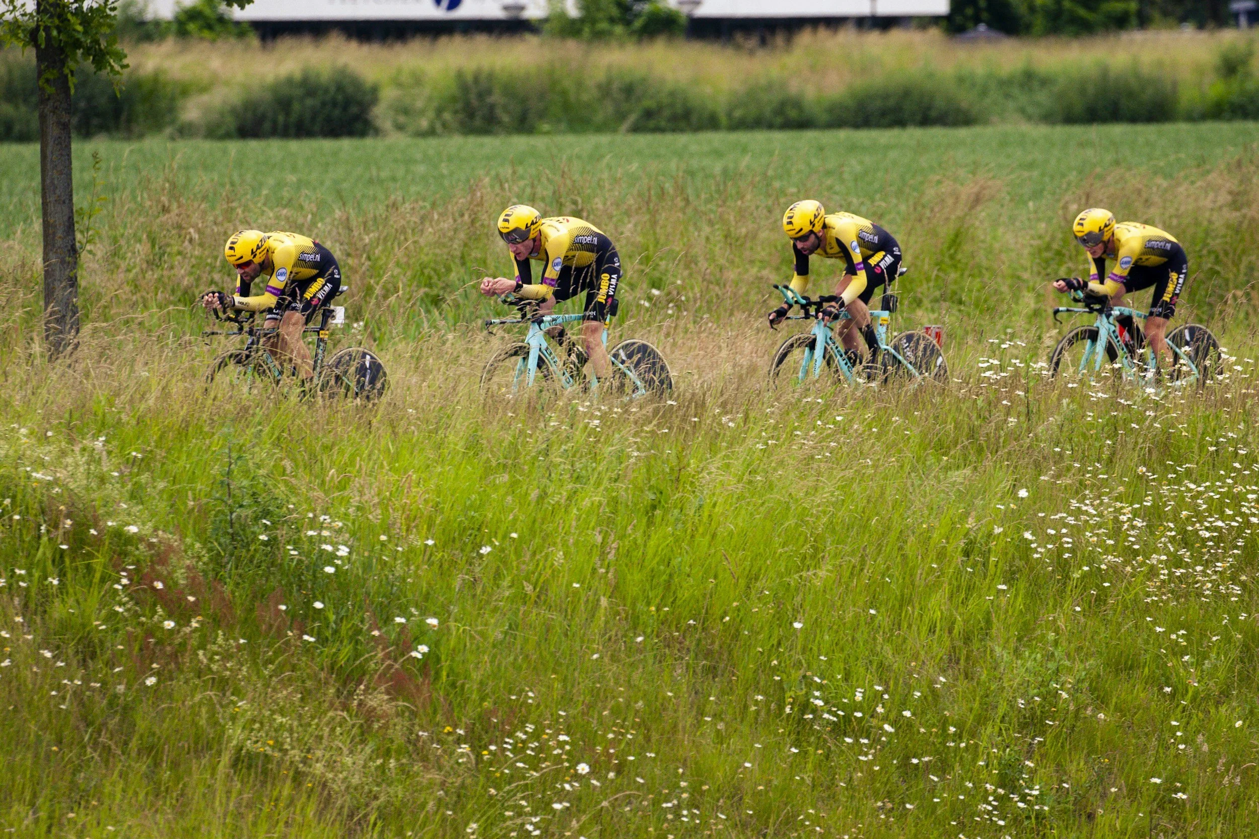 Four cyclists wearing yellow helmets and matching yellow and black jerseys riding bicycles through a green field with tall grass and wildflowers, with trees and a grassy area in the background.