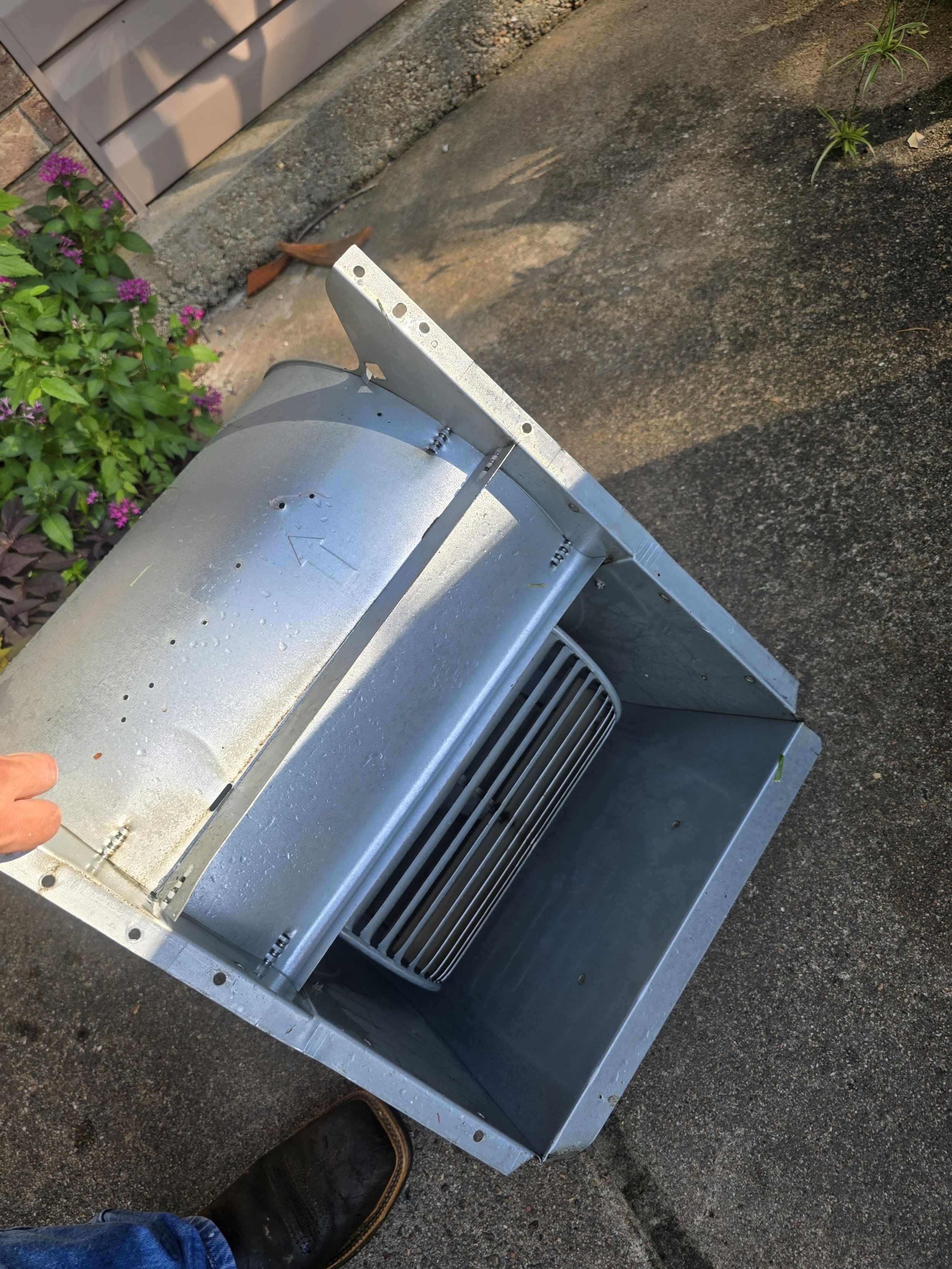 Mas Flow Super Clean!