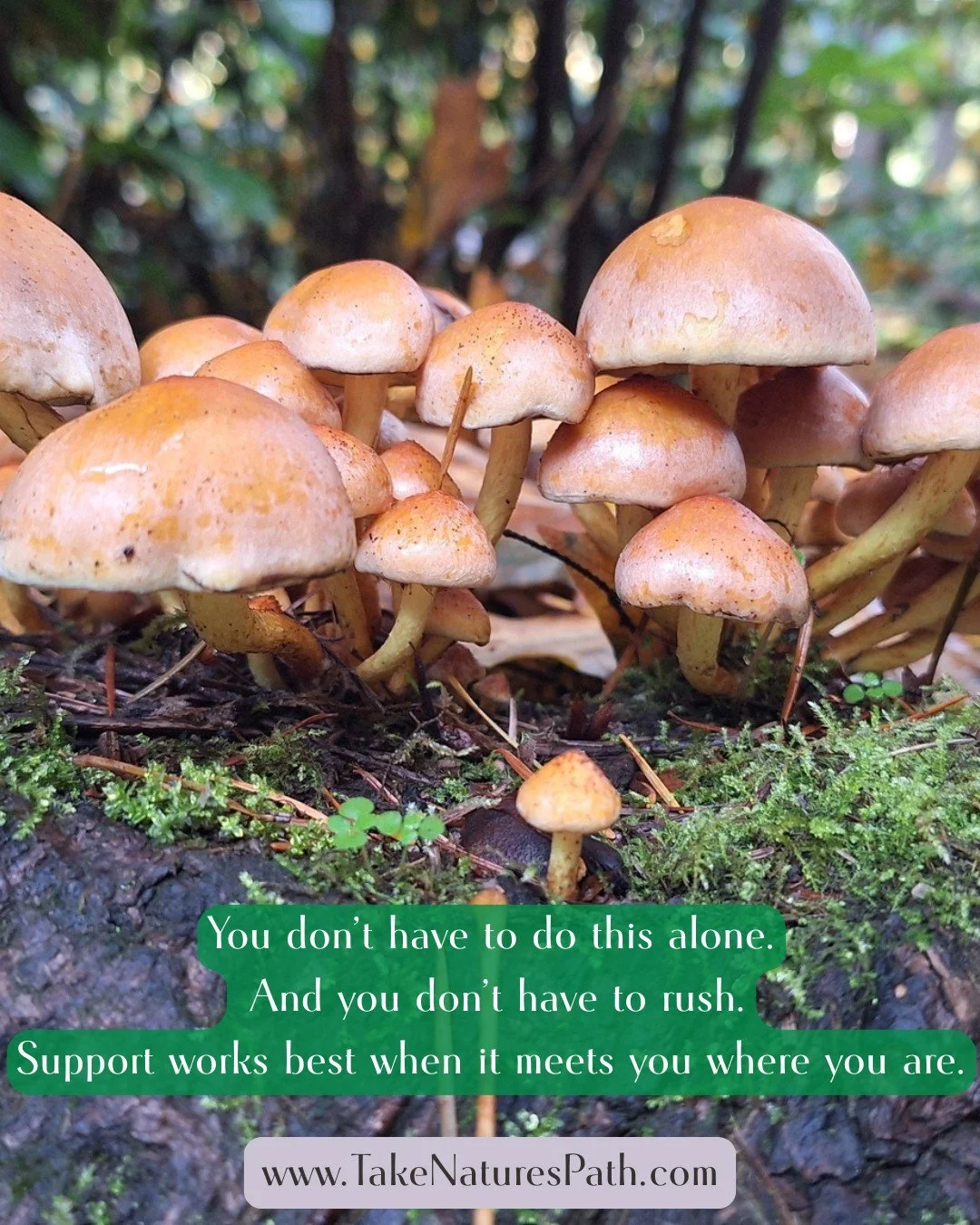 #healingincommunity #Portlandwellness #Wellness #CareforAllofyou