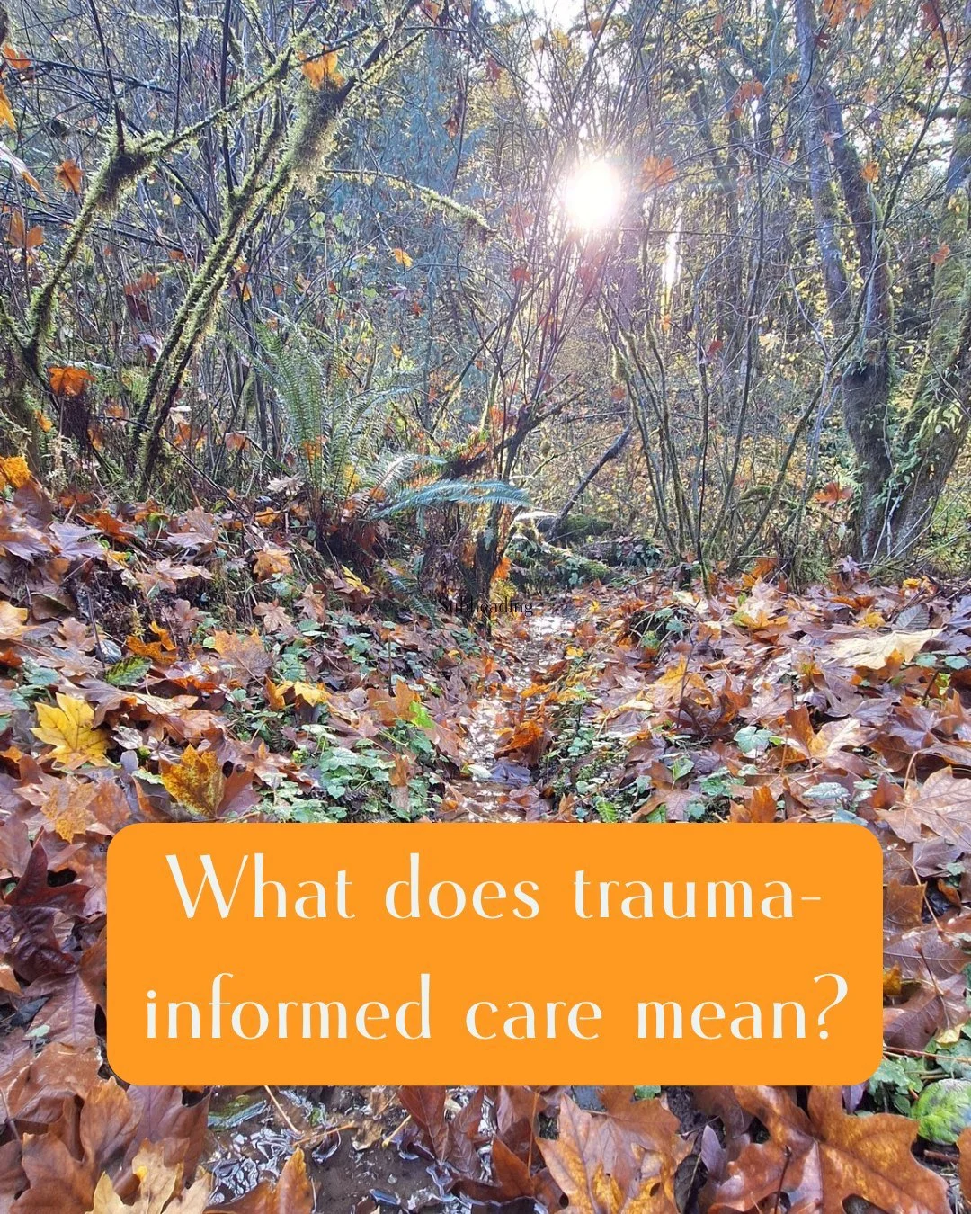 Trauma-informed care means prioritizing:

&bull; Safety
&bull; Choice
&bull; Collaboration
&bull; Consent
&bull; Pacing

At Nature&rsquo;s Path Wellness, you are always in control of your process.

#Wellness #CareforAllofyou #Traumainformed #holistic