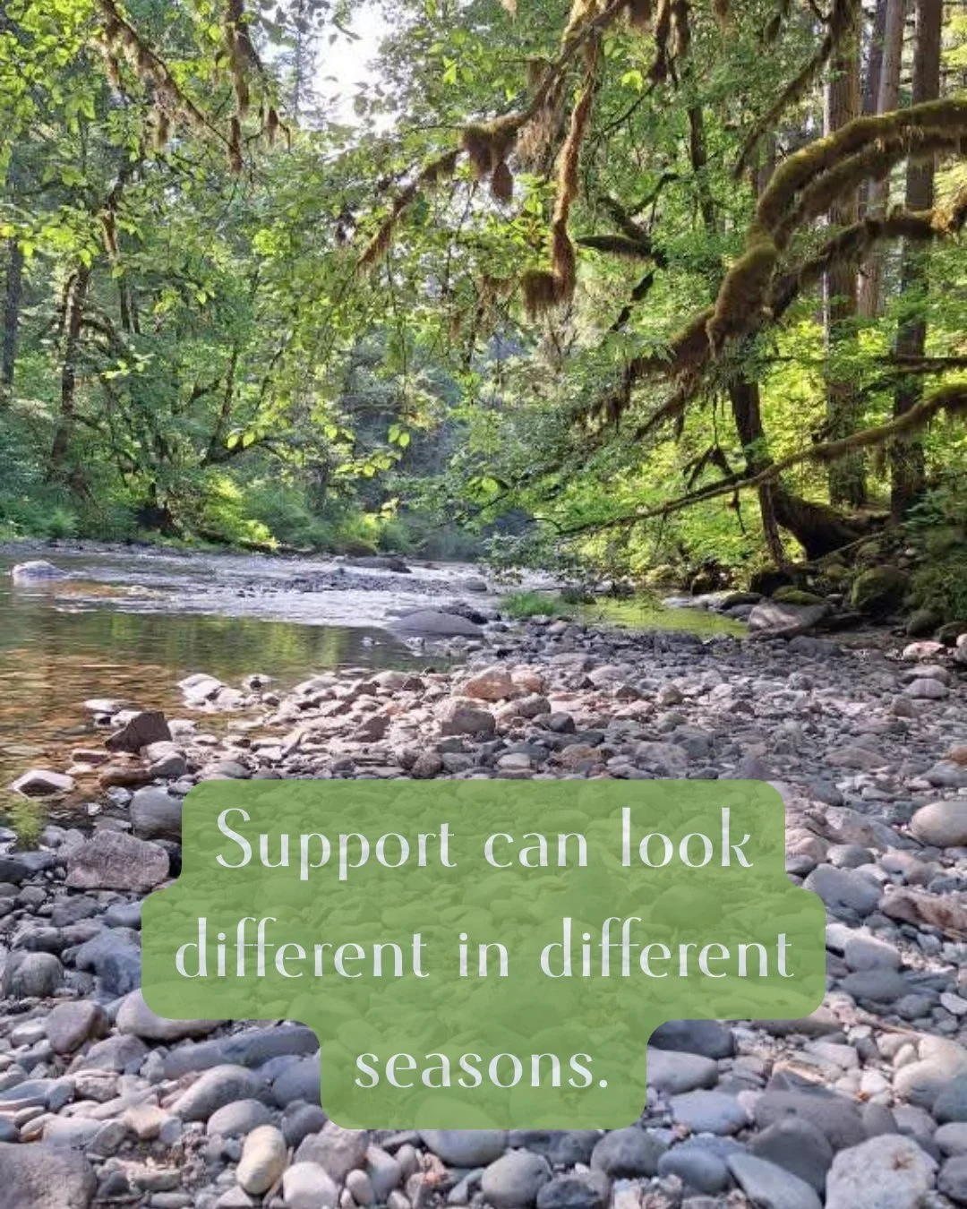 Support shifts as life shifts.

What feels most helpful for you right now?

#HealinginCommunity #WellnessPDX #Portland #Wellness #CareforAllofyou