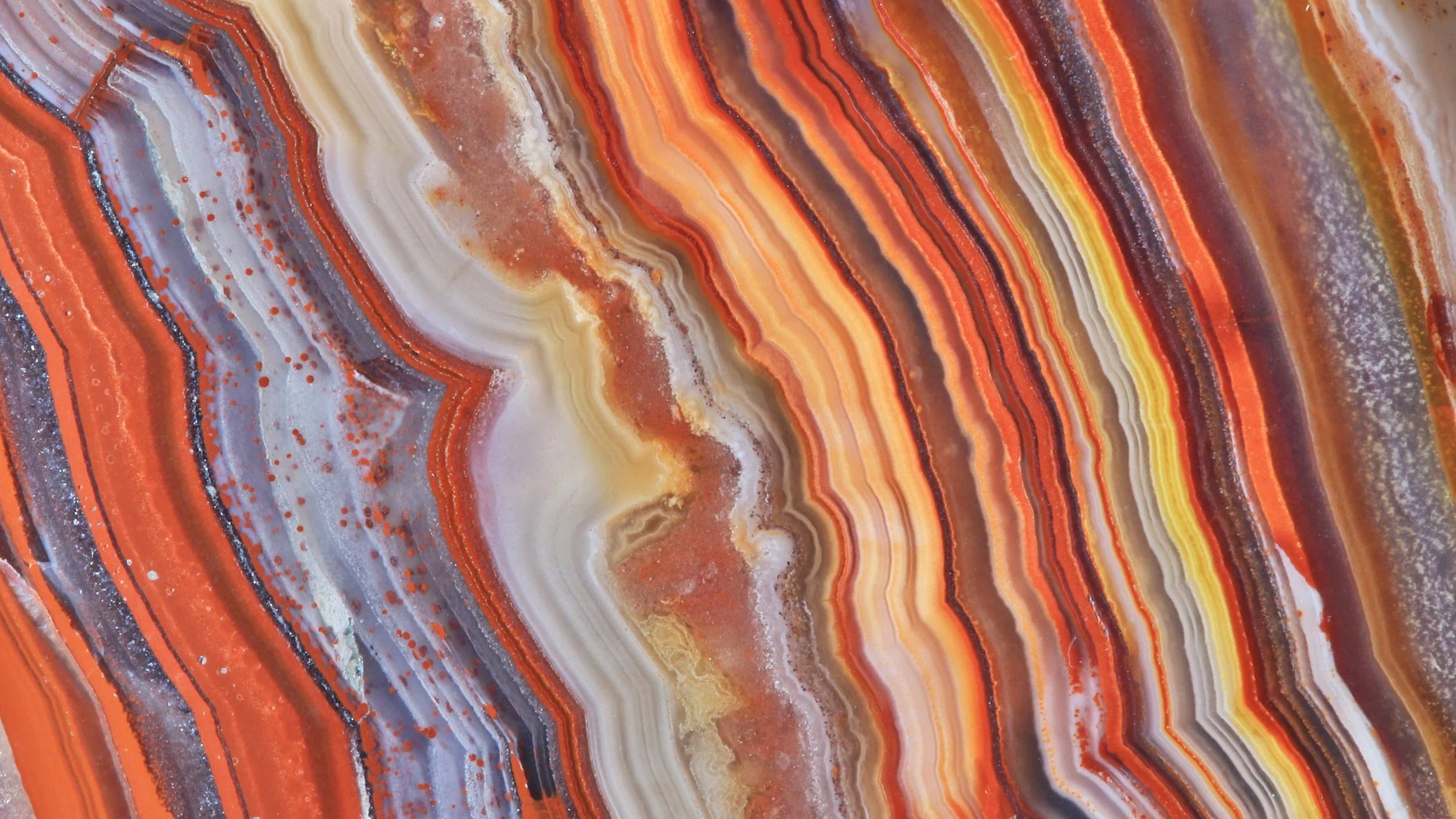 What is Psychedelic Integration?