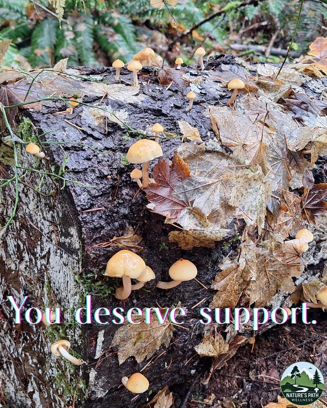 Everyone needs support sometimes.
 Seeking help is not weakness &mdash; it's wisdom.
Our practitioners are here when you're ready.

#MentalHealthSupport #WellnessCommunity #NaturesPathWellness #Portland #PDXWellness