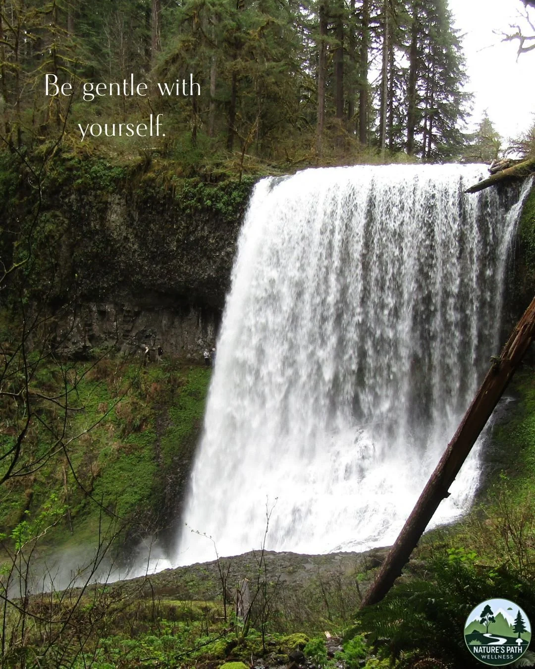 You are learning.
 You are growing.
 You are doing the best you can with what you have.
That matters. 

#GrowingPains #Wellness #Portland #NaturesPathWellness
#SelfCompassion #HealingWork