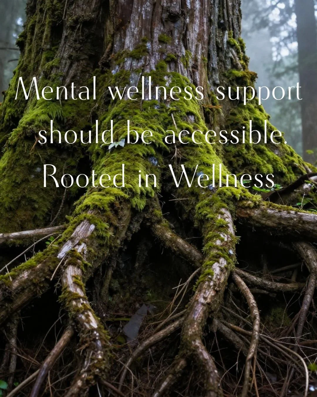 At Nature&rsquo;s Path Wellness, we believe mental wellness support should be accessible to more people.

Not everyone can commit to therapy right now.

But everyone deserves tools that help them feel better.

That&rsquo;s why we created Rooted in We