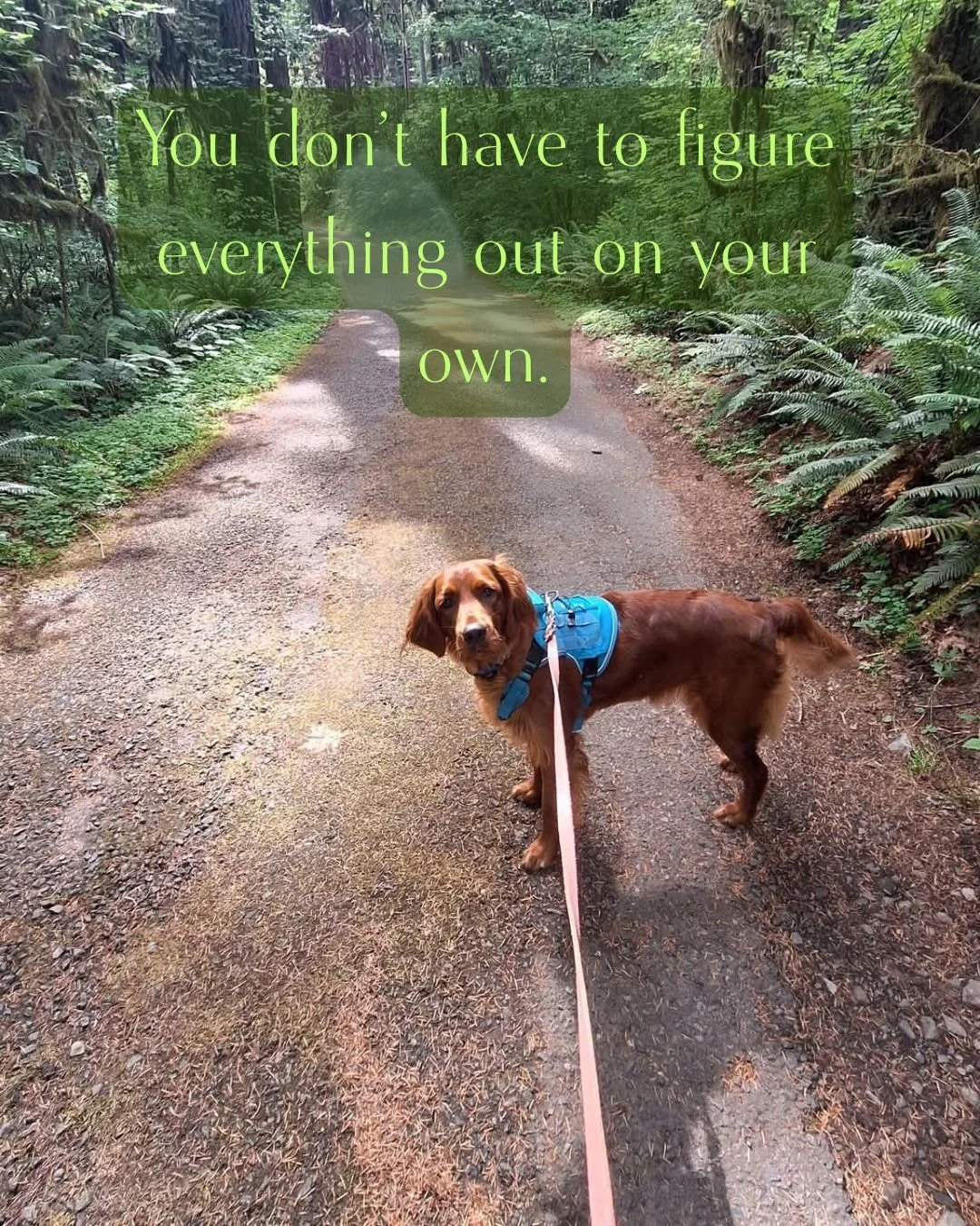 A lot of people are used to handling things themselves. Pushing through. Figuring it out. Managing quietly.

But support can look a lot of different ways. It might be talking to someone, learning tools, or slowing down enough to reconnect with yourse