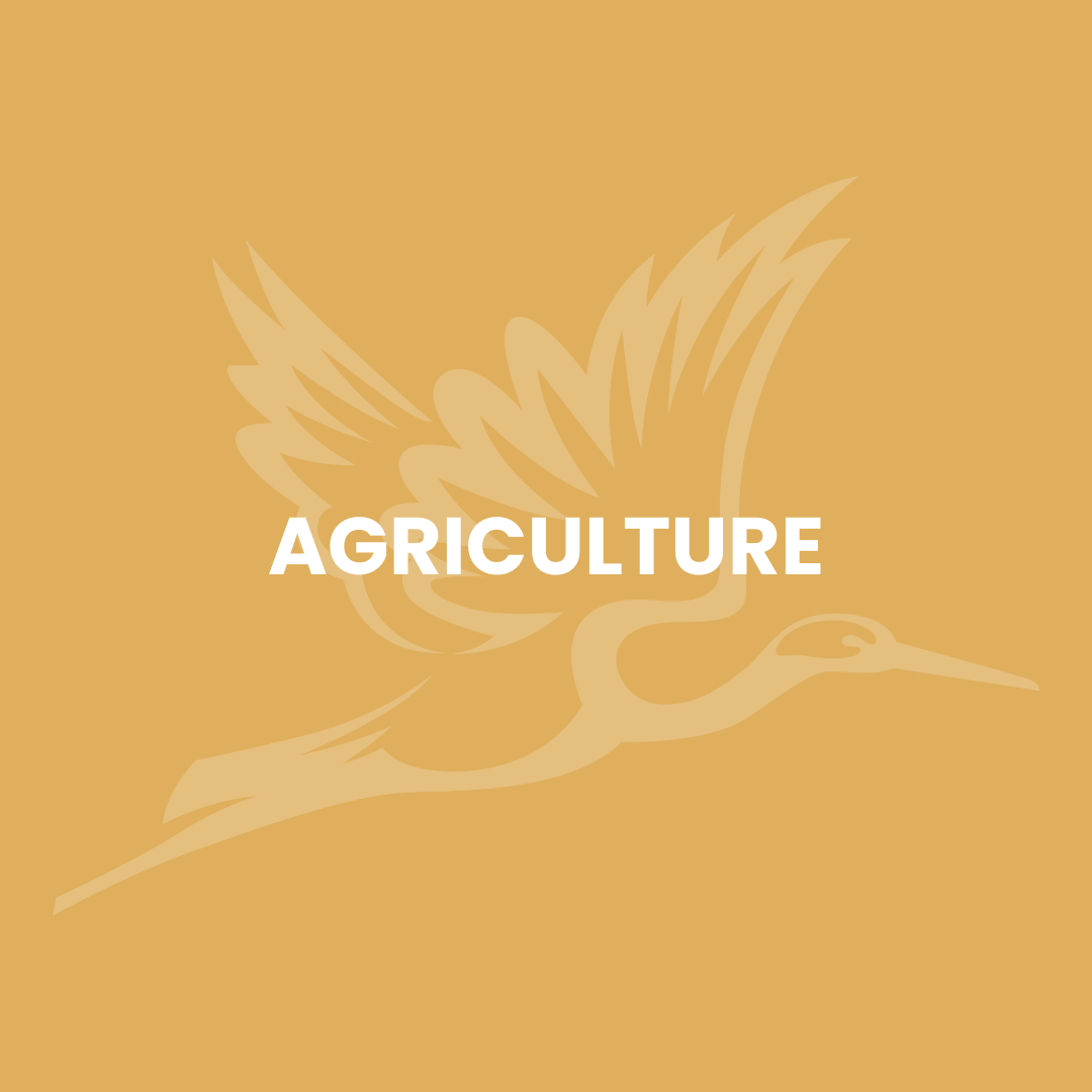 A stylized yellow crane bird with outstretched wings, over a yellow background with the word 'AGRICULTURE' in white capital letters.