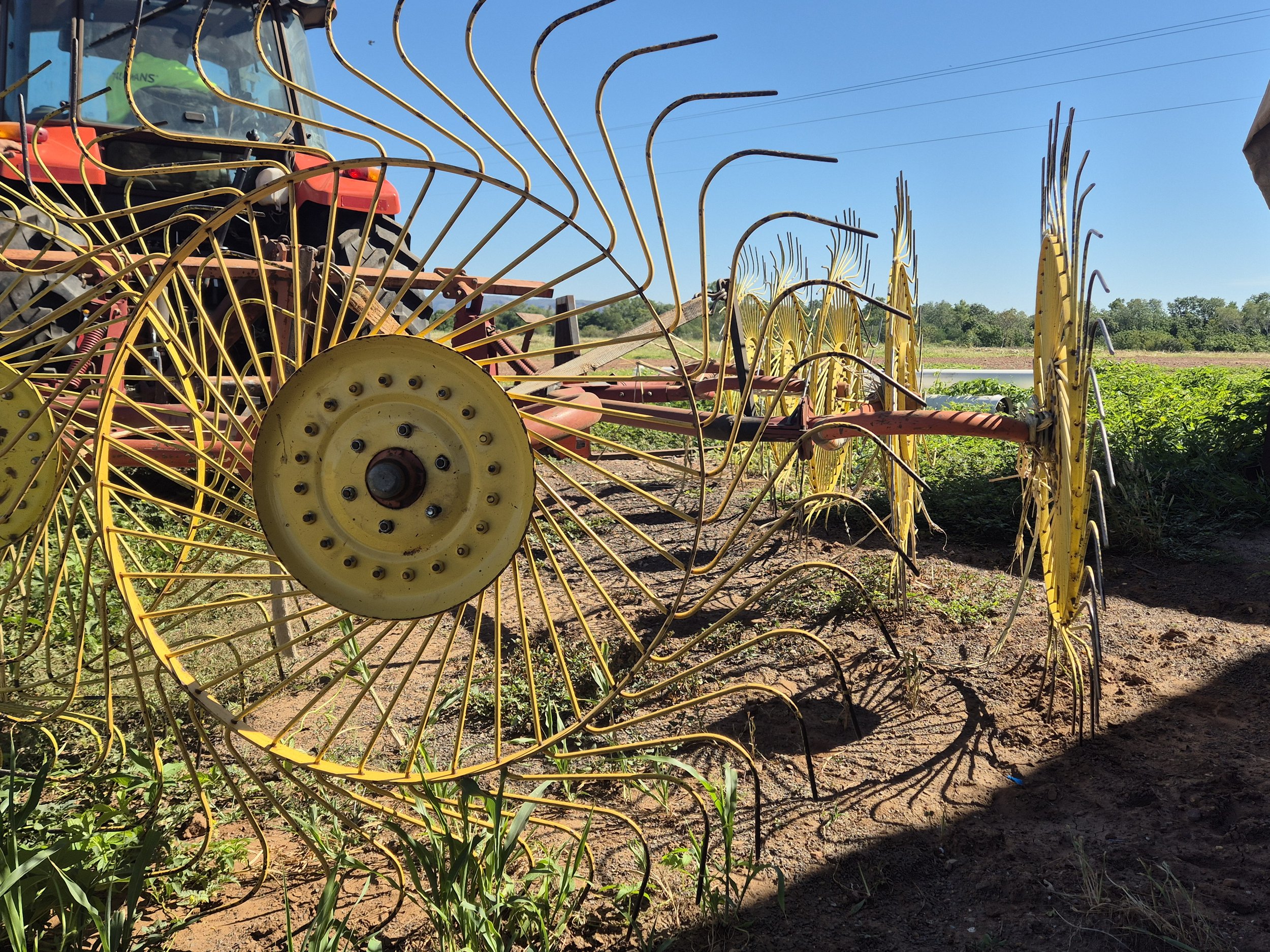 A yellow farm machinery attachment with curved tines, parked on dirt in a field with green plants, blue sky, and power lines in the background.