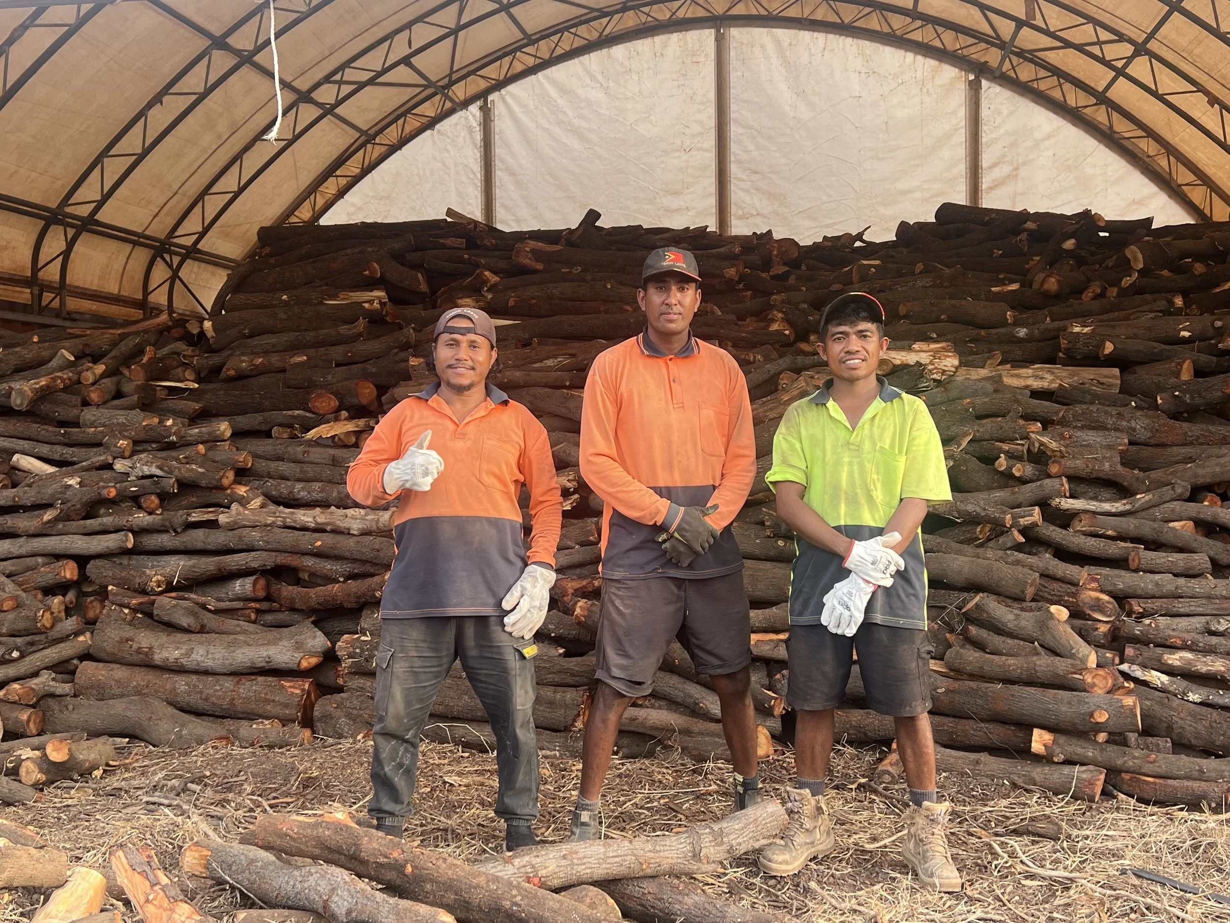Three men standing in front of a large pile of cut logs inside a shelter.