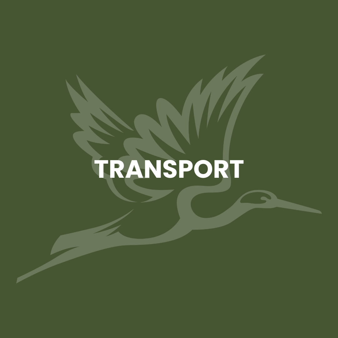 Green background with a stylized logo of a flying heron and the word "TRANSPORT" in white