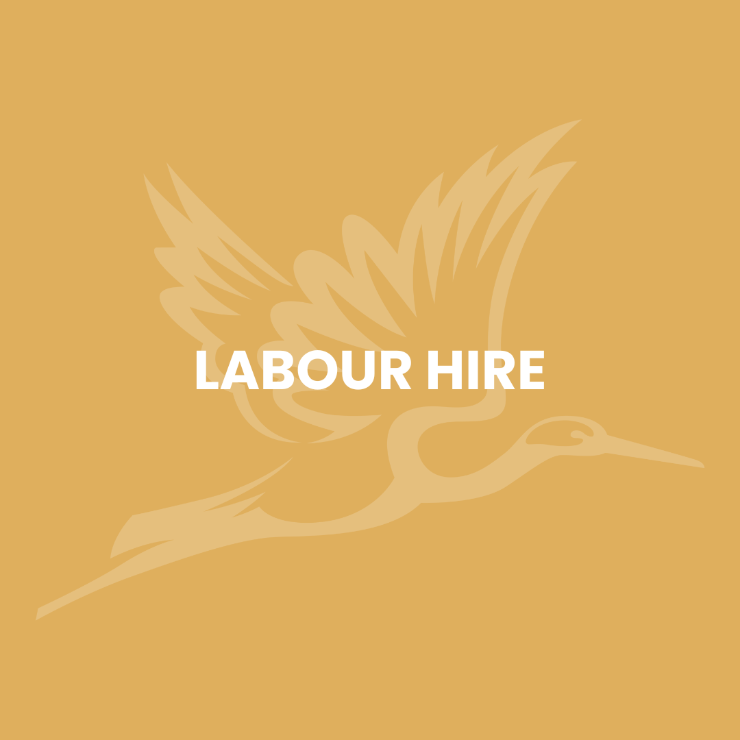 Graphic design with a stylized bird and the words 'Labour Hire' in bold white font on a beige background.
