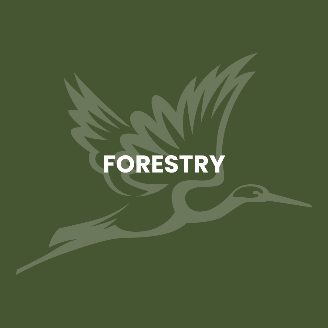 Green background with a stylized bird with spread wings and the word 'FORESTRY' in bold white letters.
