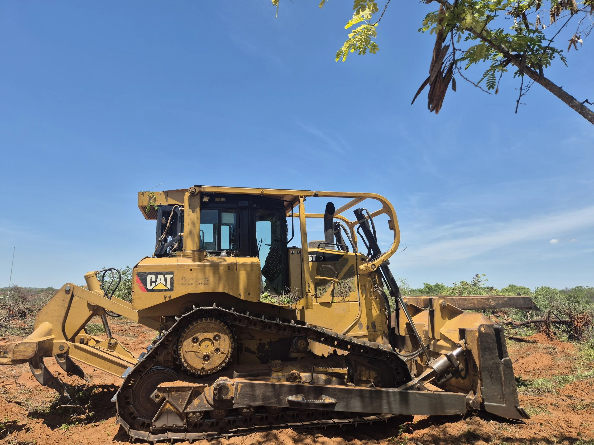 A yellow Caterpillar bulldozer working on a construction site with cleared land and a tree in the background under a clear blue sky.