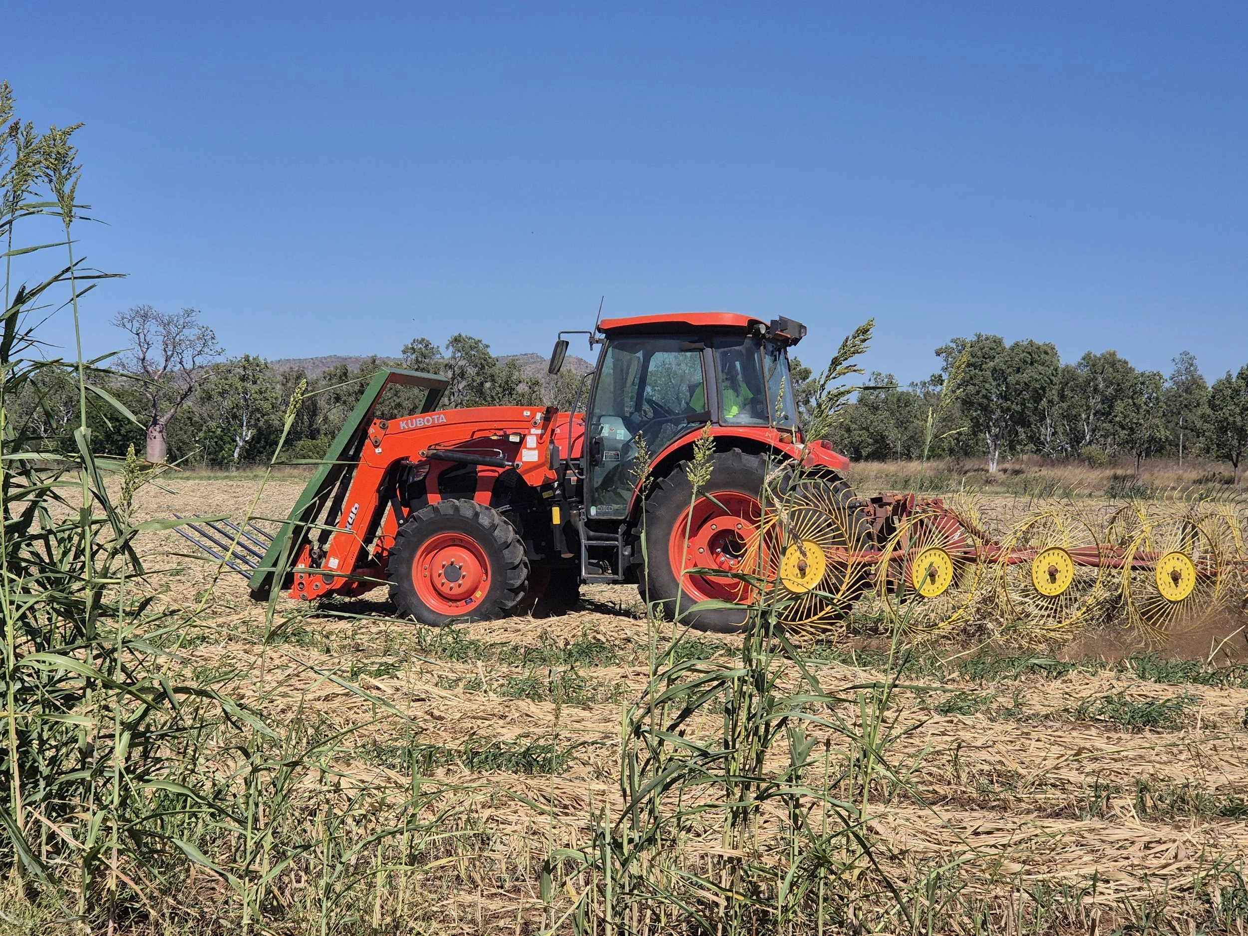 A red tractor working in a field with tall grass, surrounded by trees and a clear blue sky.