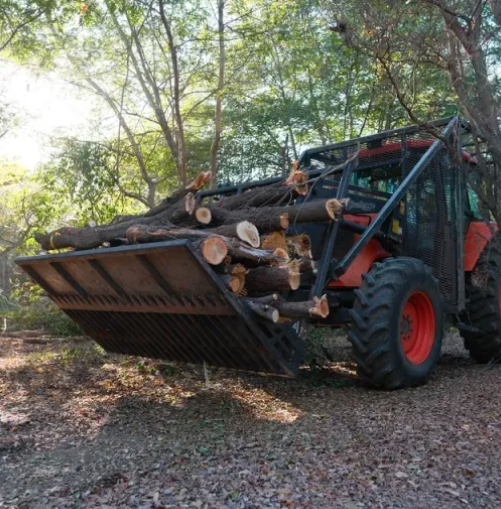 A tractor with a front loader attachment lifting chopped logs in a forested area.