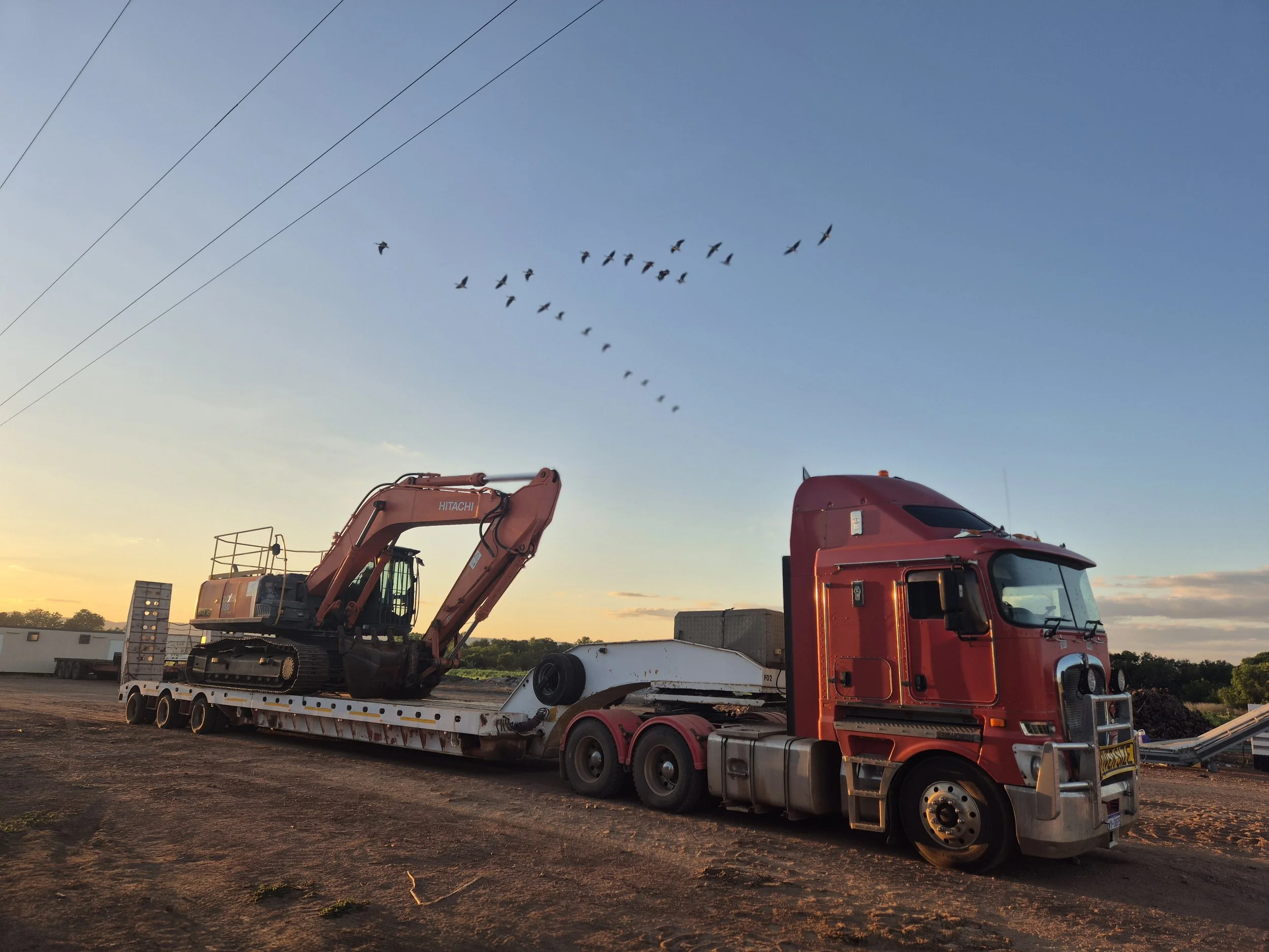Red semi-truck transporting a large piece of construction equipment, a tracked excavator, with a sunset sky and flying birds overhead.