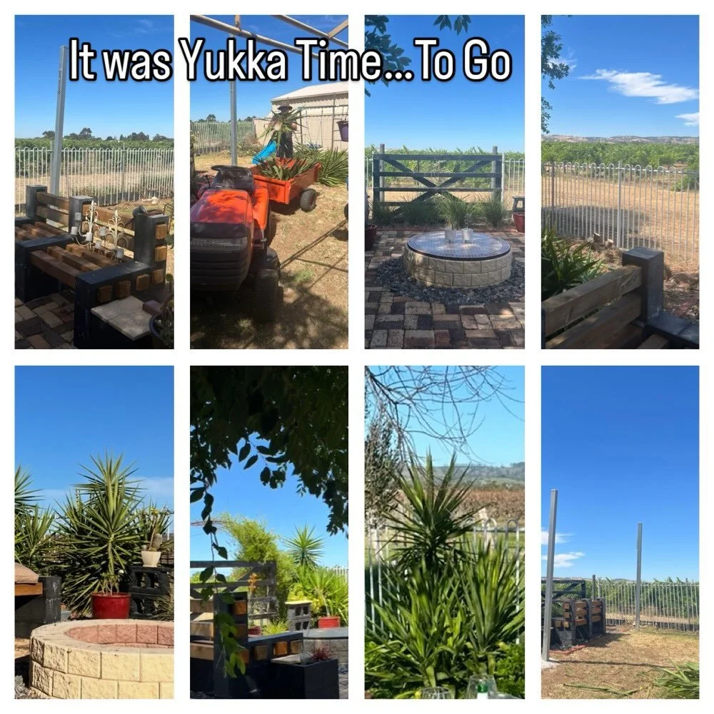 Holidays for some are spent away or relaxing&hellip; we did a little of the latter but our garden needed some TLC and tidying. Goodbye Yukkas 👋 they start so small and look great but then they grow so Big.. they have the biggest stumps after a while