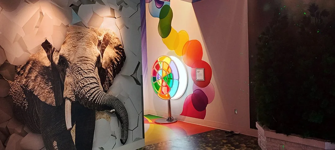 Floor to Ceiling Covered