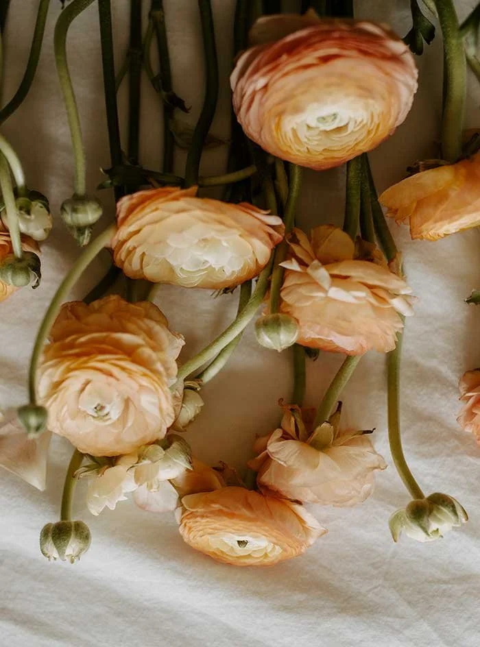 flower-subscription-service-in-the-colony-texas.jpg