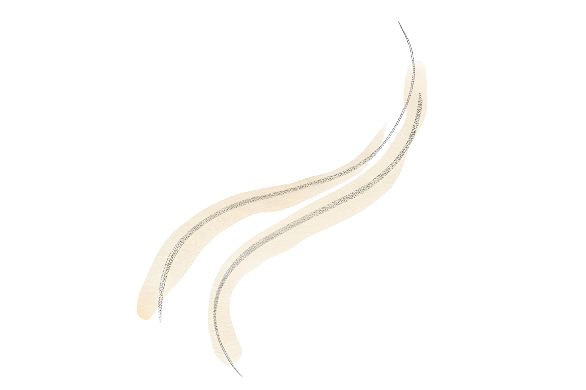 Minimalist line drawing of flowing path representing curated experiences and intentional journey planning
