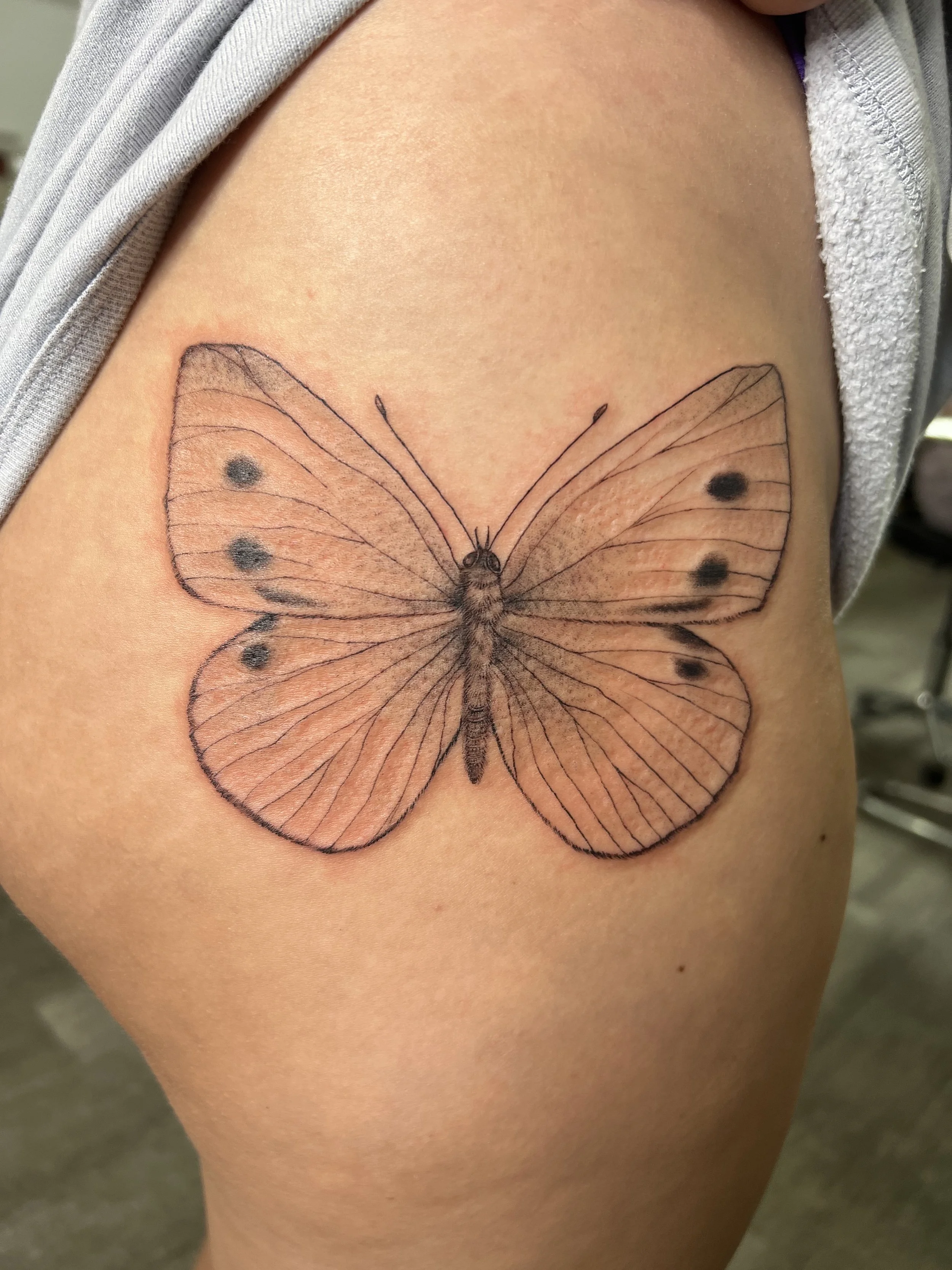 butterfly_02.jpg