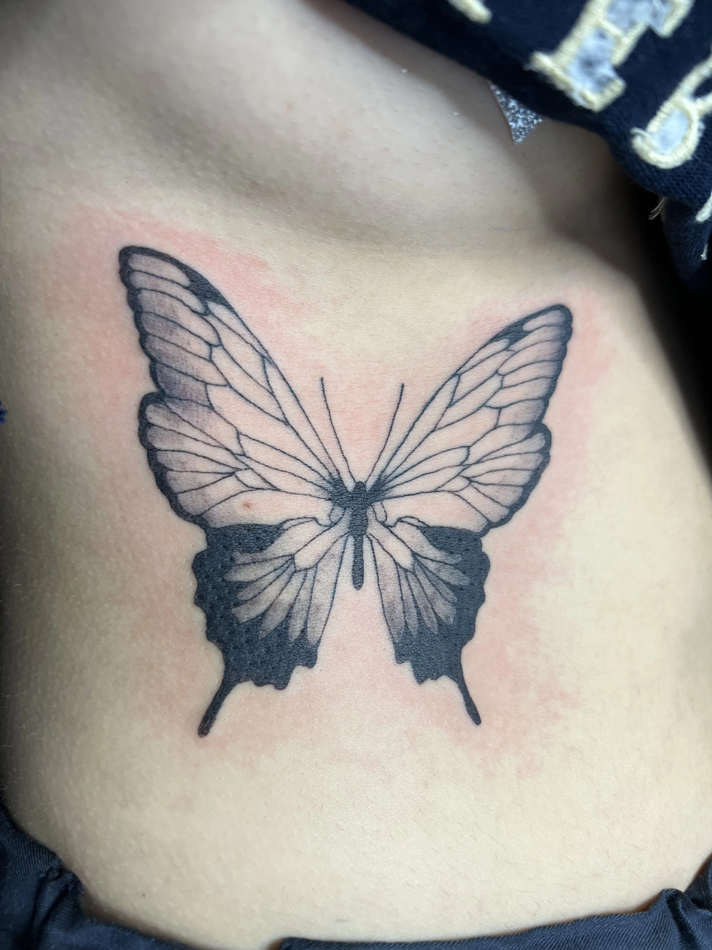 butterfly_01.jpg
