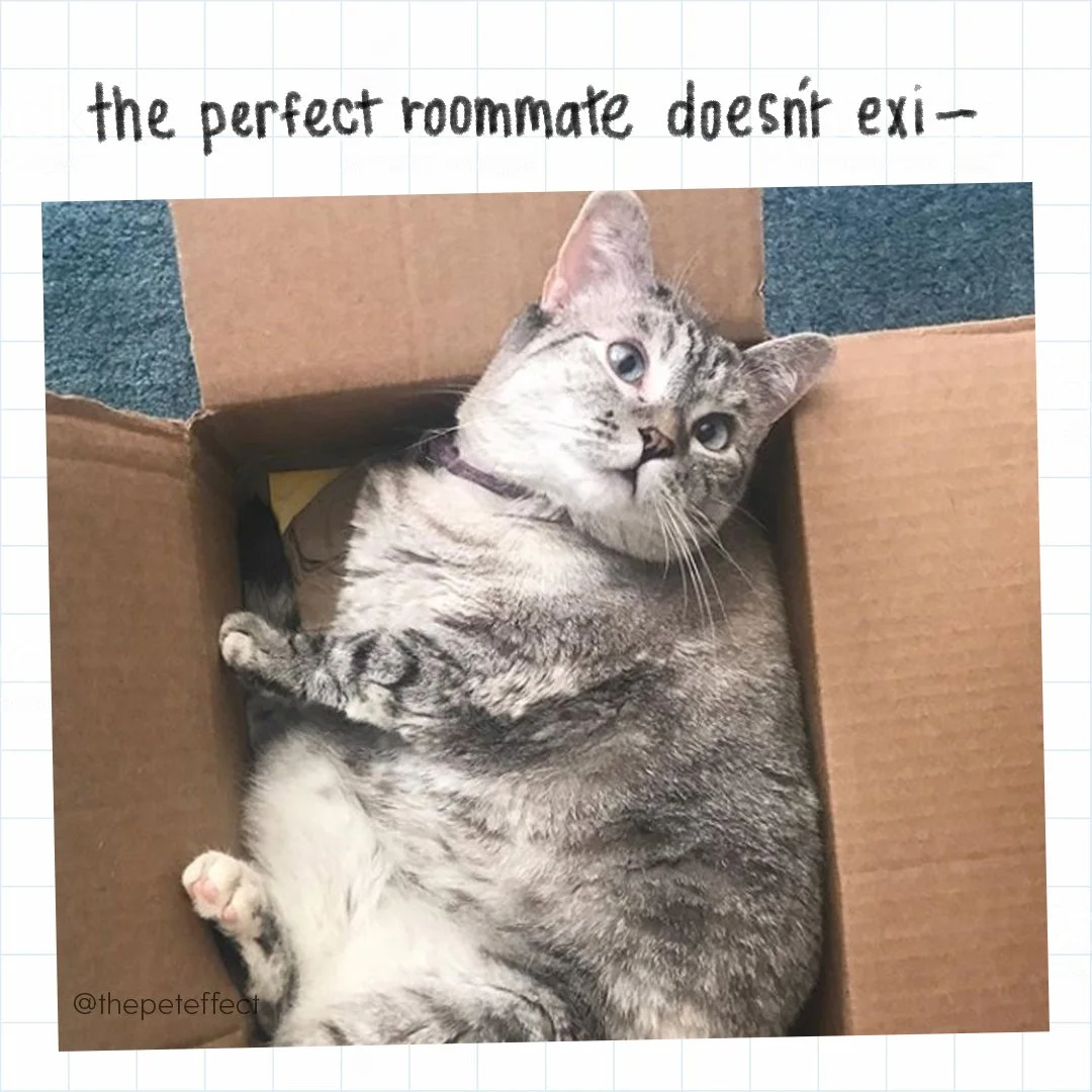 HAB_TPE_Social_APR2018_R4-01_PerfectRoommate.jpg